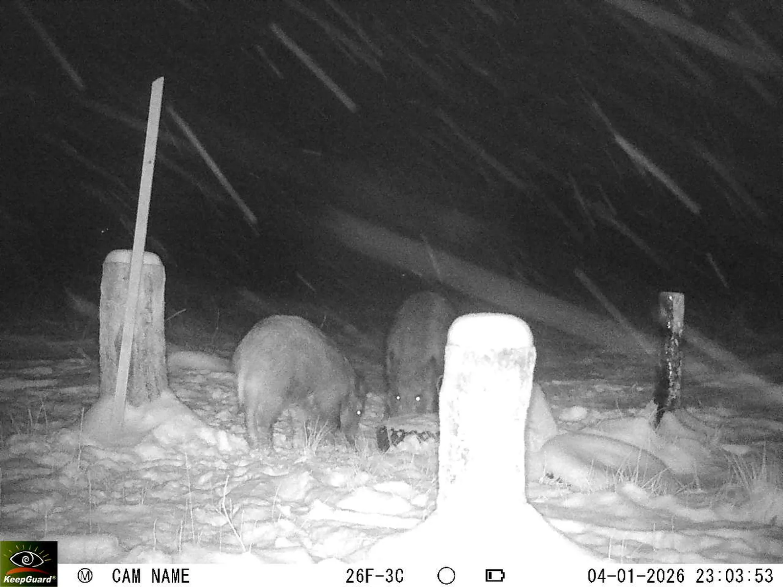 Bild: 1767560746854722603_01040294.webp