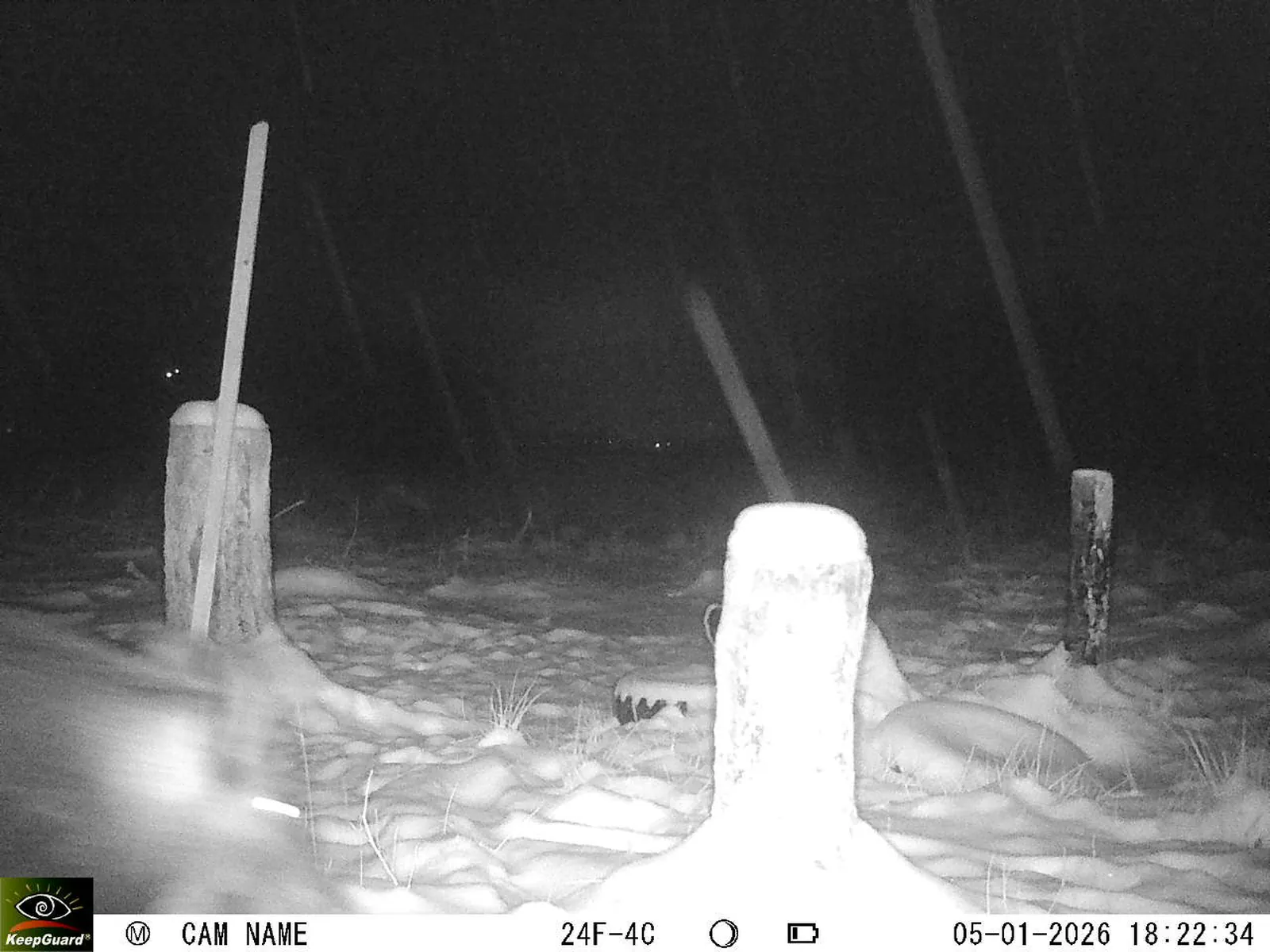 Bild: 1767630270339152457_01050296.webp