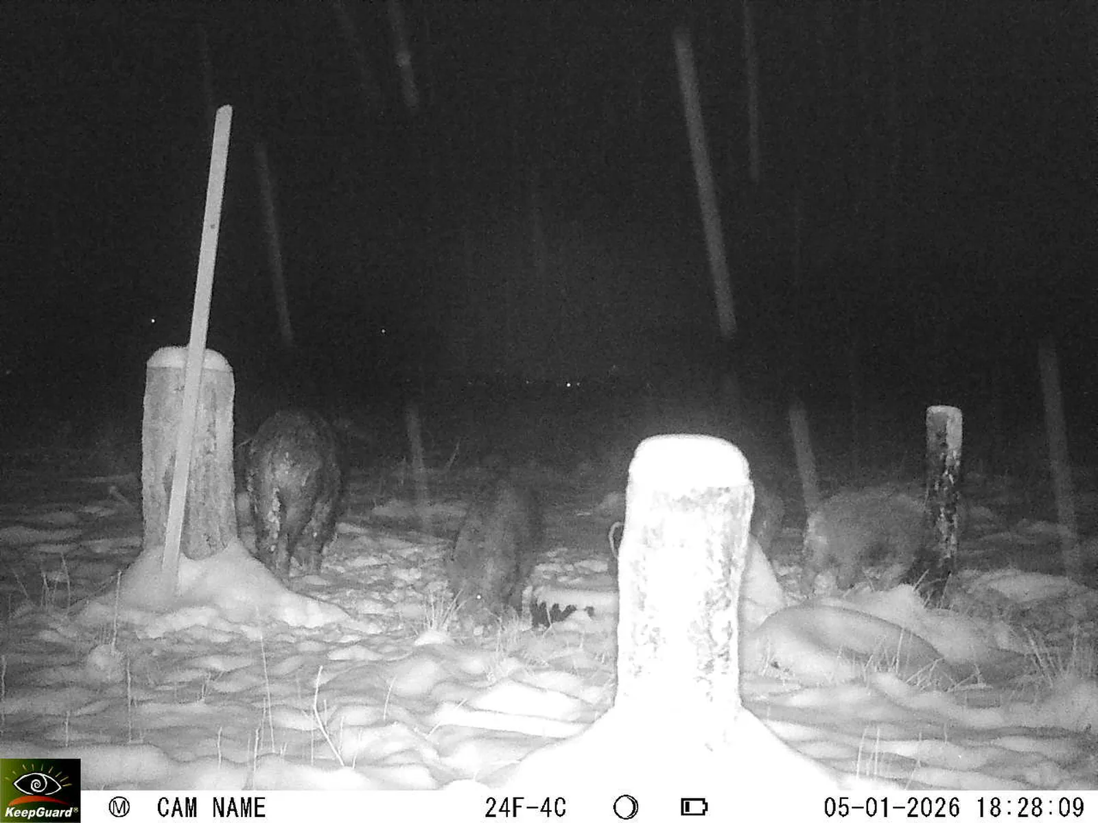 Bild: 1767630608911415899_01050297.webp