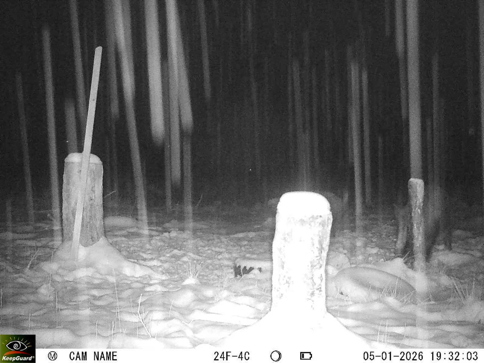 Bild: 1767634440873555854_01050298.webp