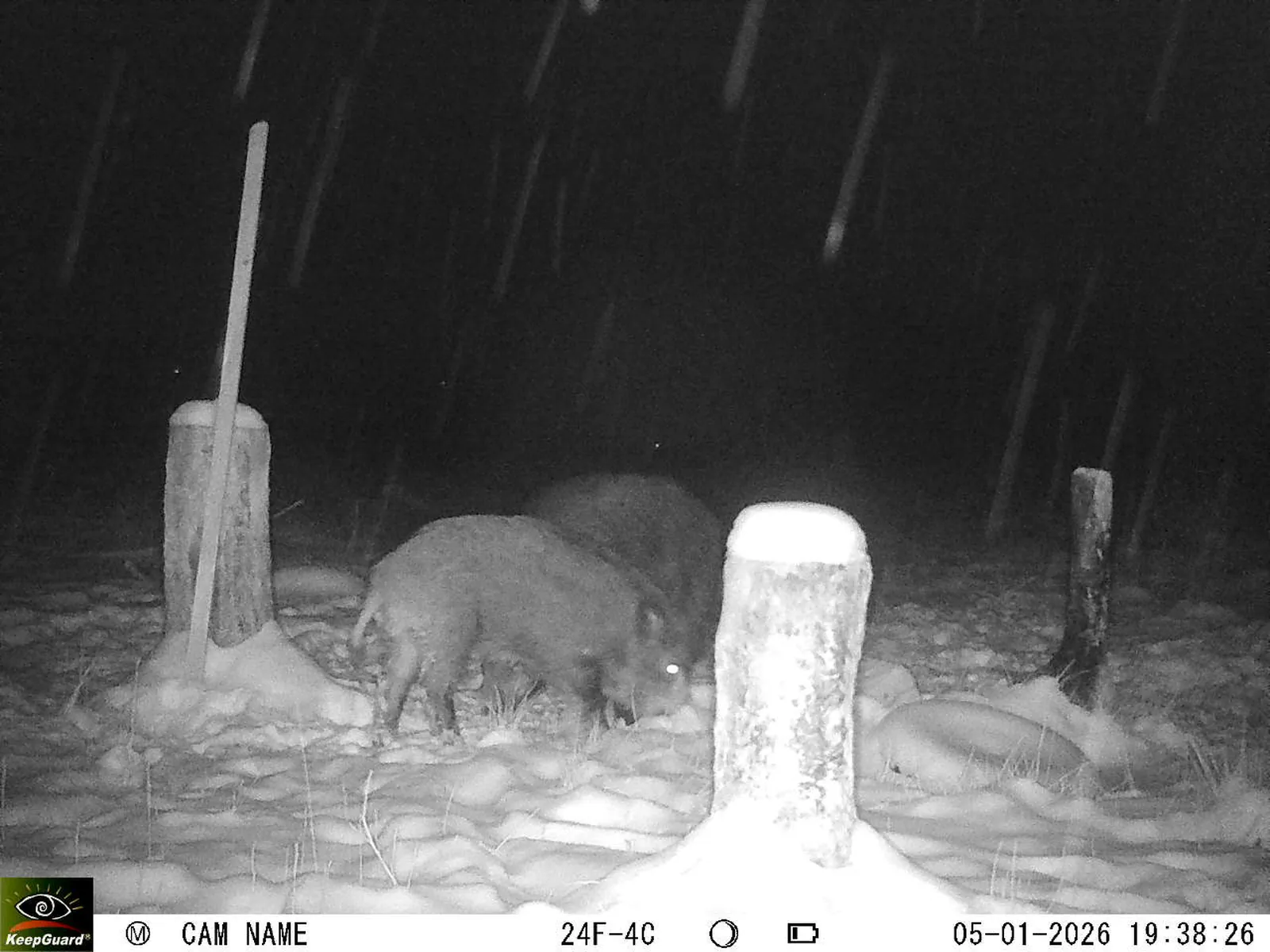 Bild: 1767634821521467854_01050299.webp