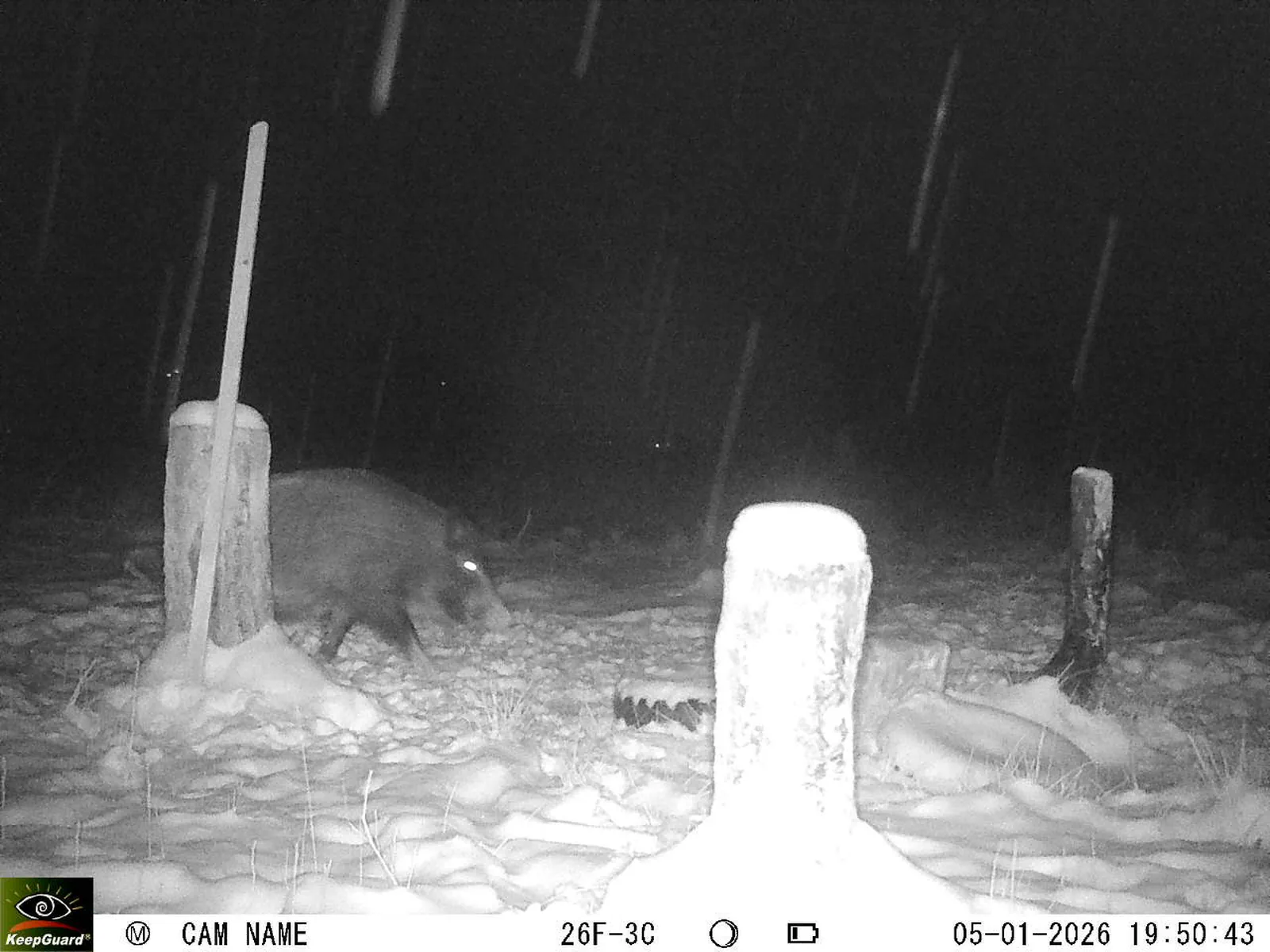 Bild: 1767635559203178775_01050301.webp