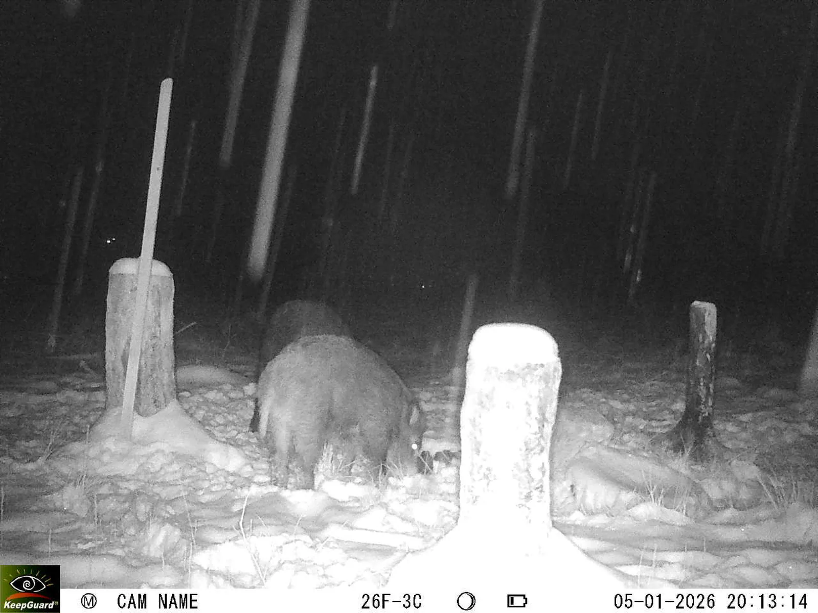 Bild: 1767636909598460037_01050305.webp