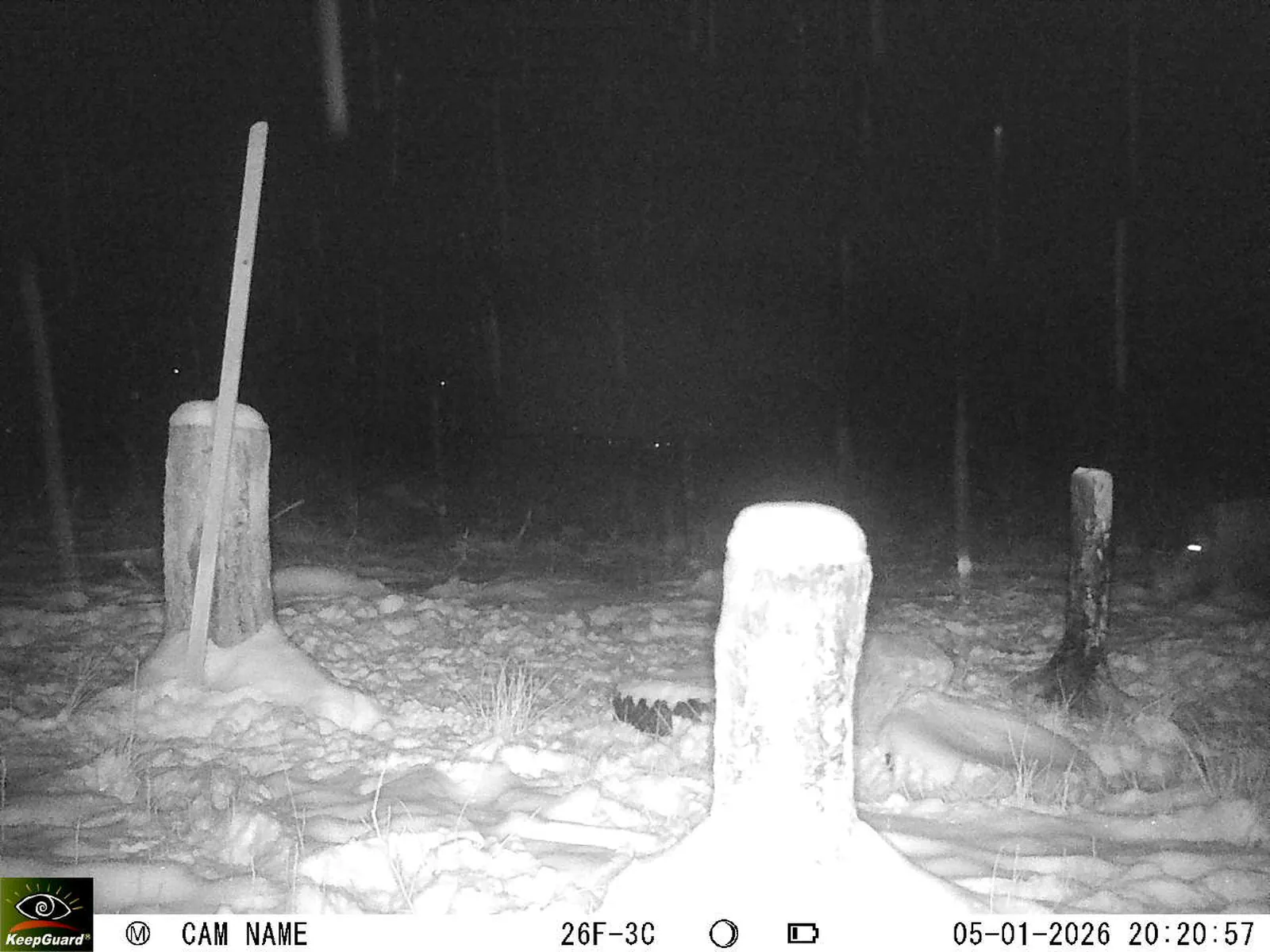 Bild: 1767637372772255717_01050306.webp