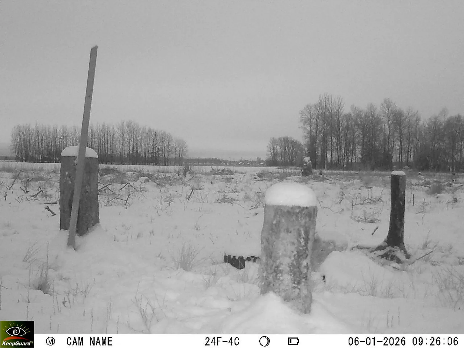 Bild: 1767684483311405486_01060307.webp