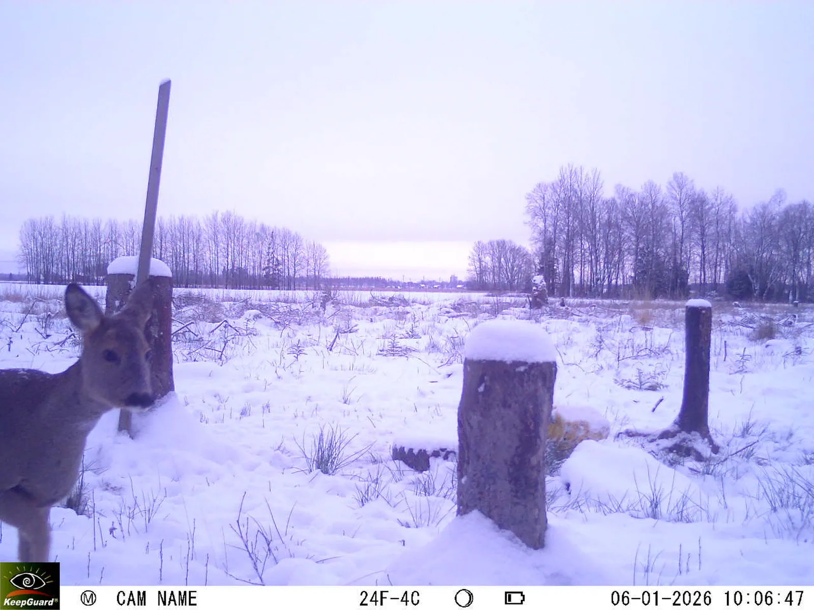 Bild: 1767686924769375188_01060308.webp