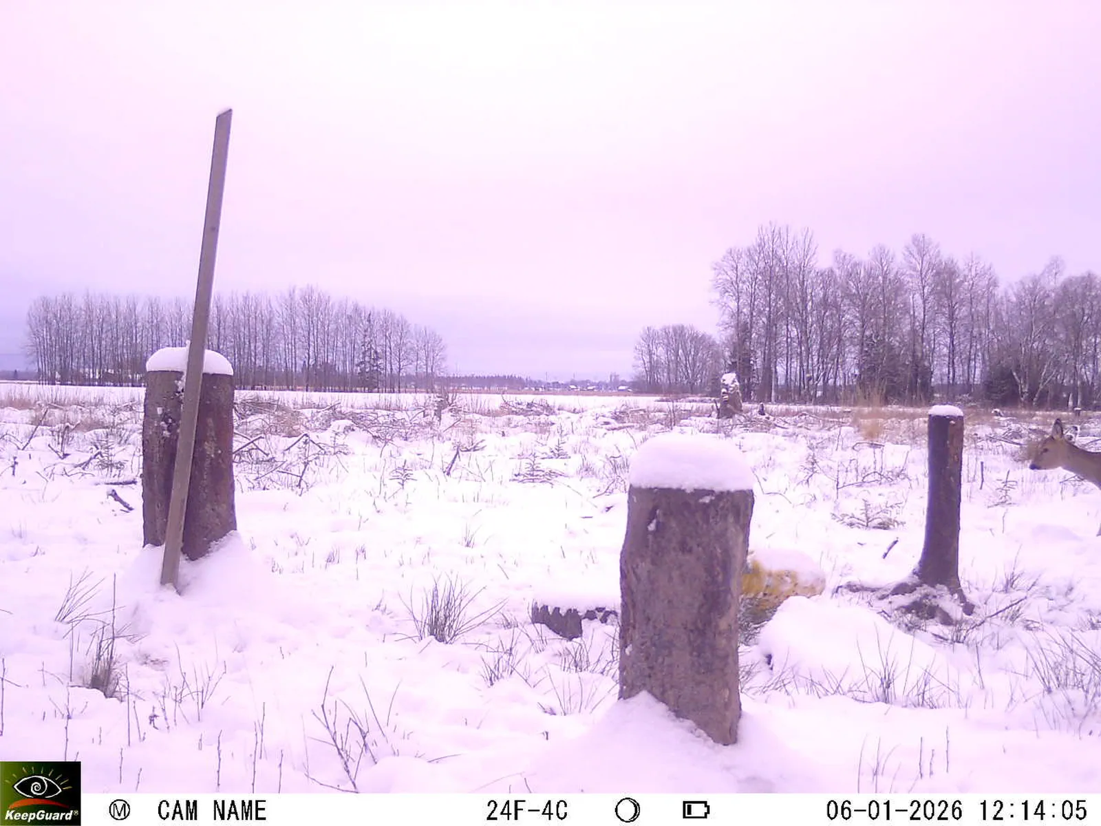 Bild: 1767694565160258875_01060309.webp