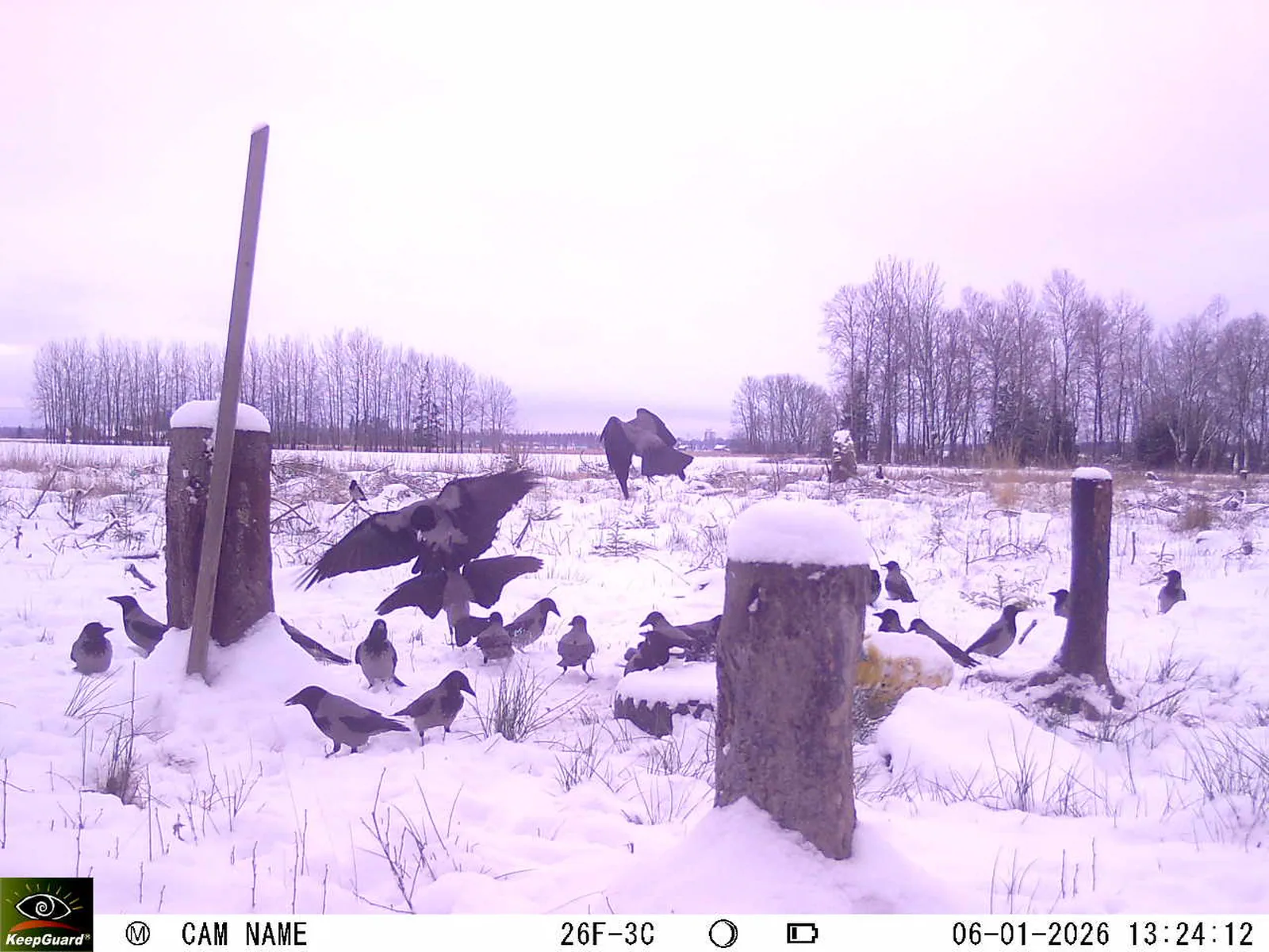 Bild: 1767698770438019921_01060310.webp