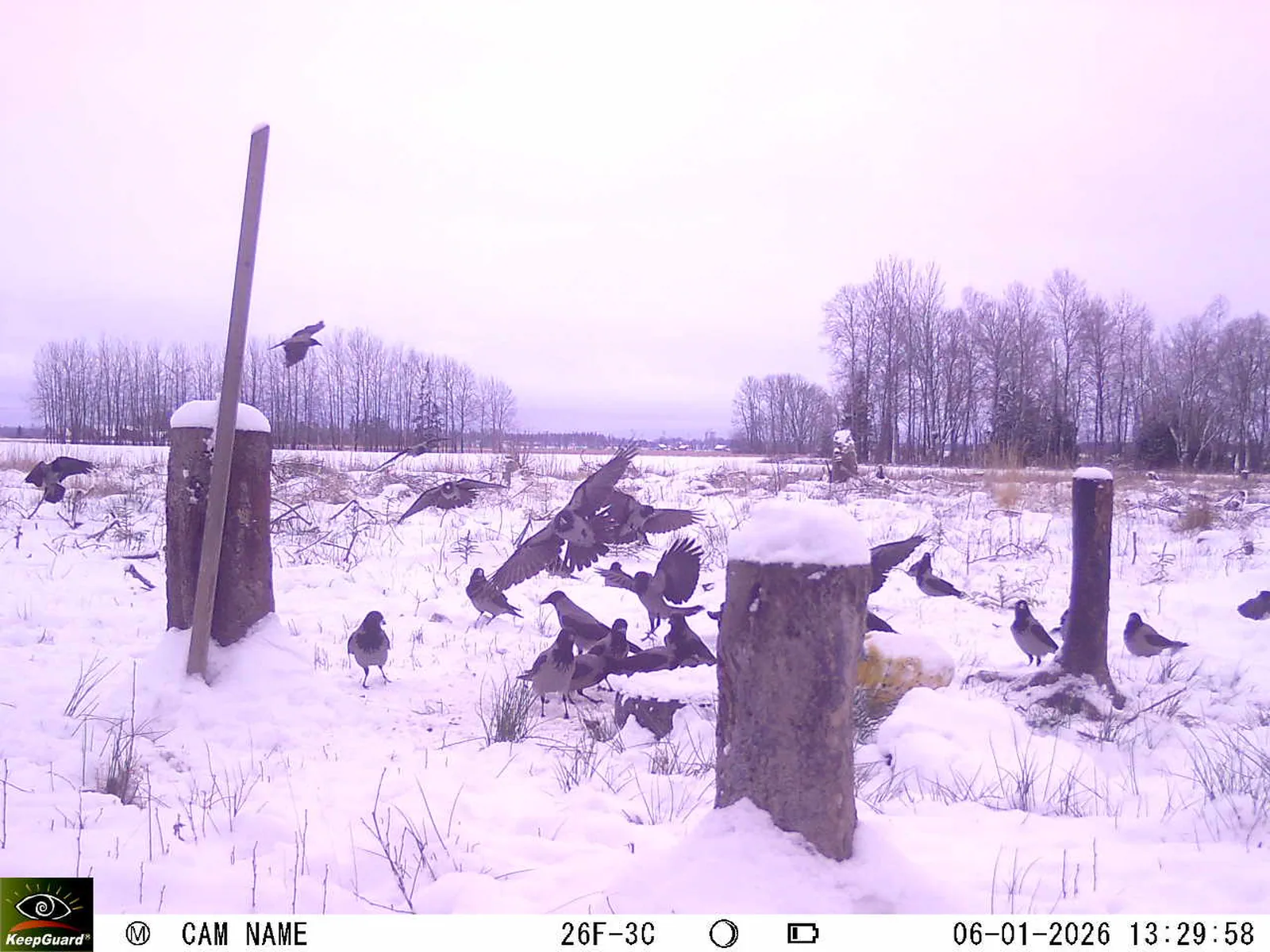 Bild: 1767699115189709532_01060311.webp