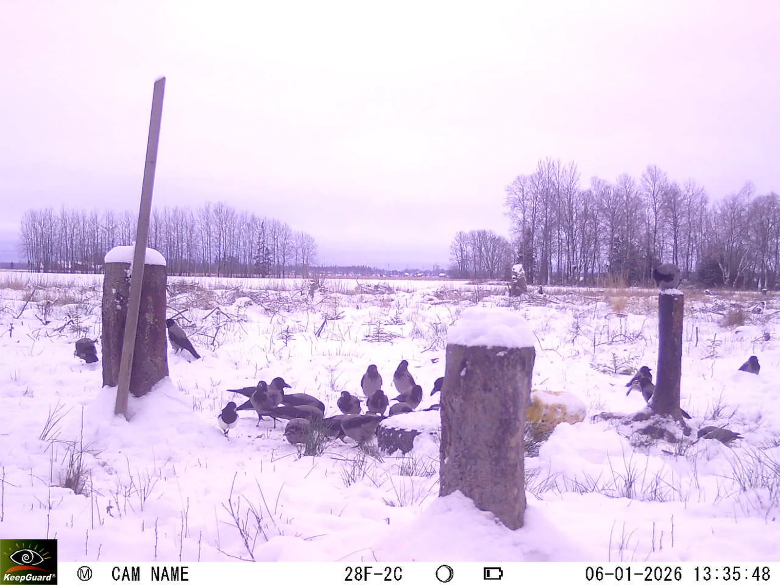 Bild: 1767699464594473188_01060312.webp