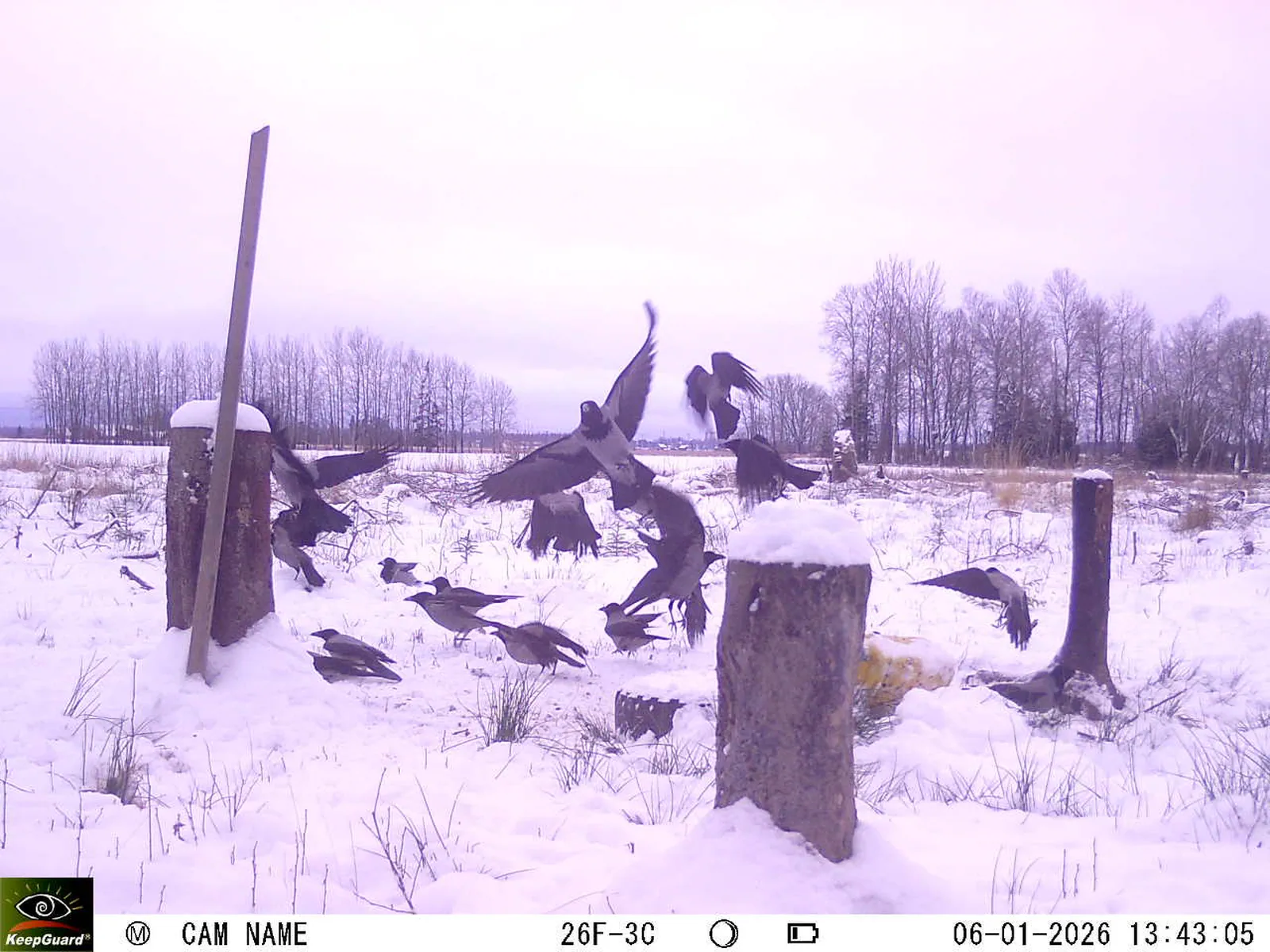 Bild: 1767699905194765677_01060313.webp