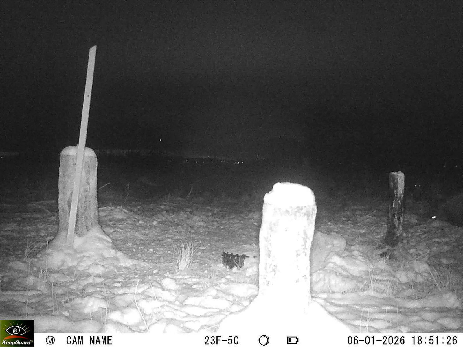 Bild: 1767718404603288484_01060314.webp