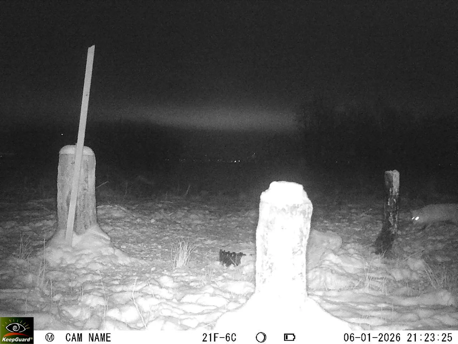 Bild: 1767727522796968431_01060315.webp