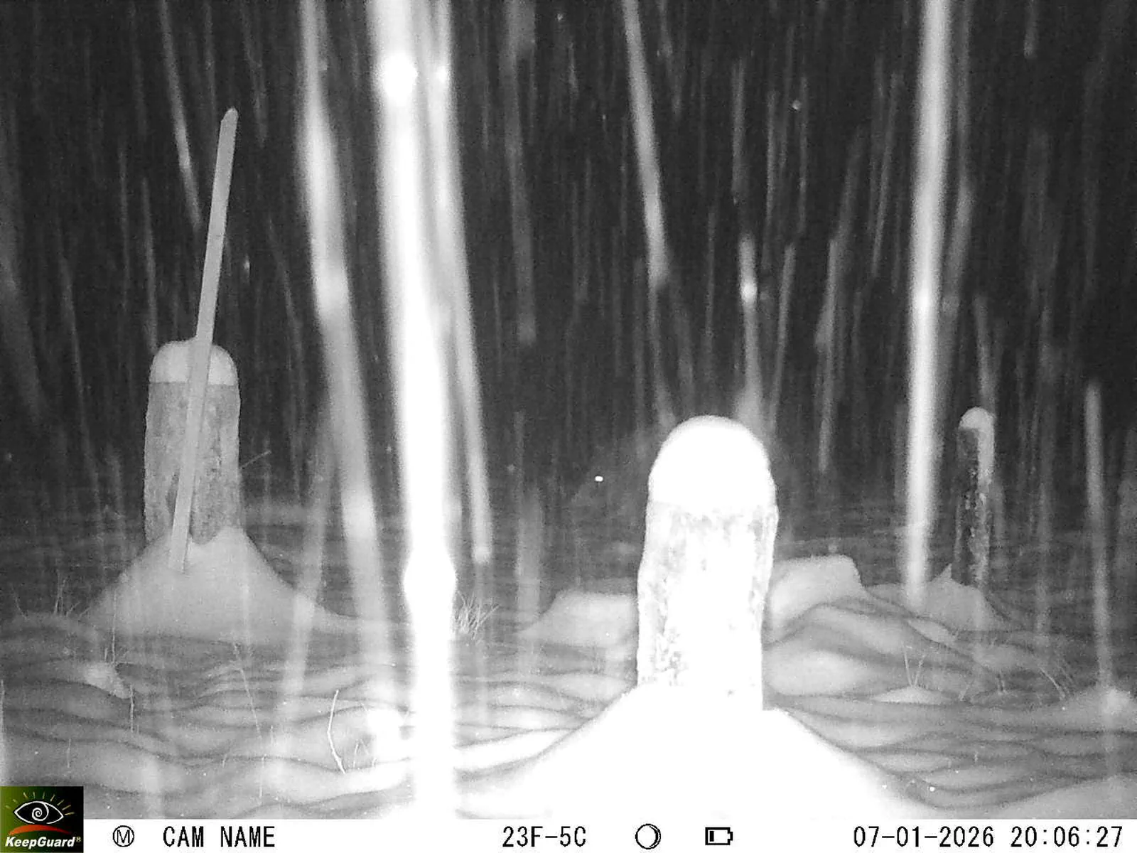 Bild: 1767809307362197939_01070317.webp