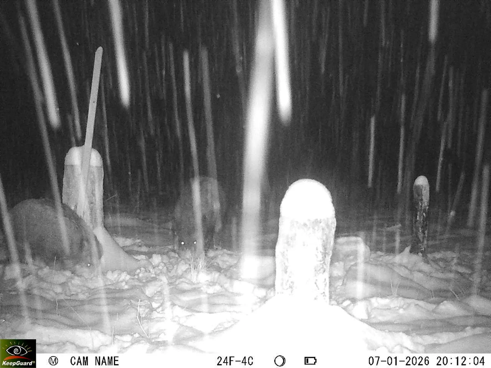 Bild: 1767809643388659963_01070318.webp