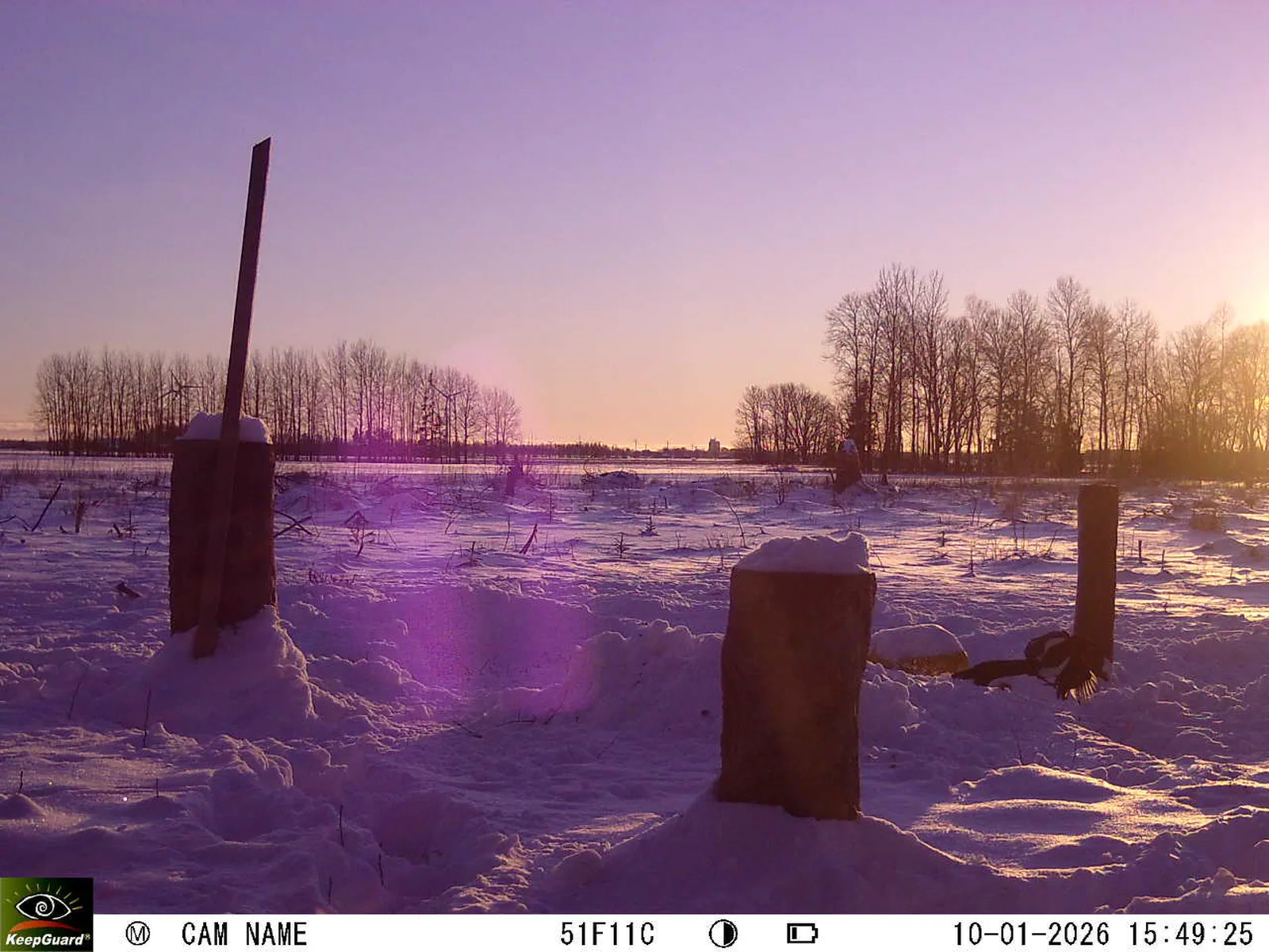 Bild: 1768053091800626964_01100335.webp