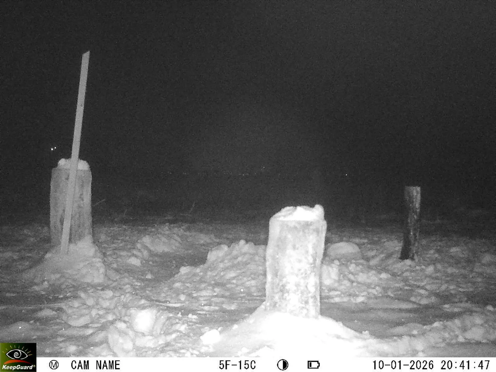 Bild: 1768070633901776870_01100336.webp