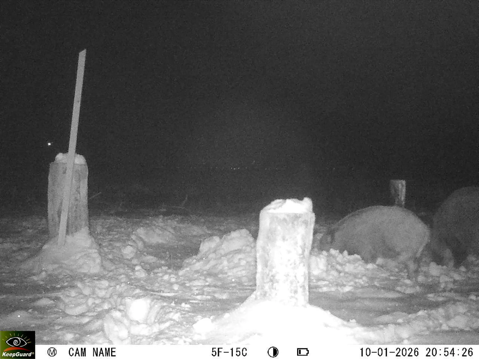 Bild: 1768071391163611839_01100338.webp