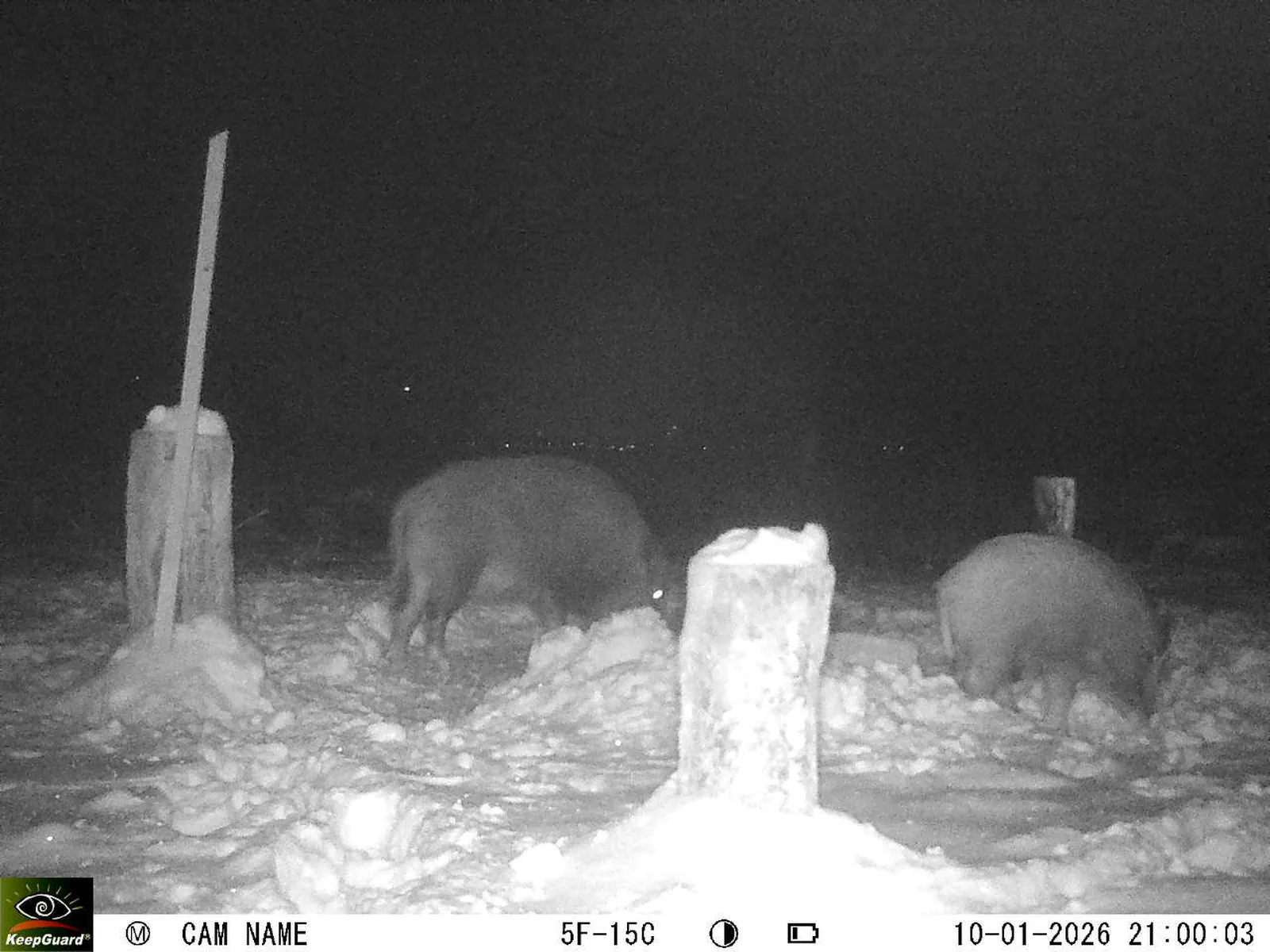 Bild: 1768071728303881251_01100339.webp