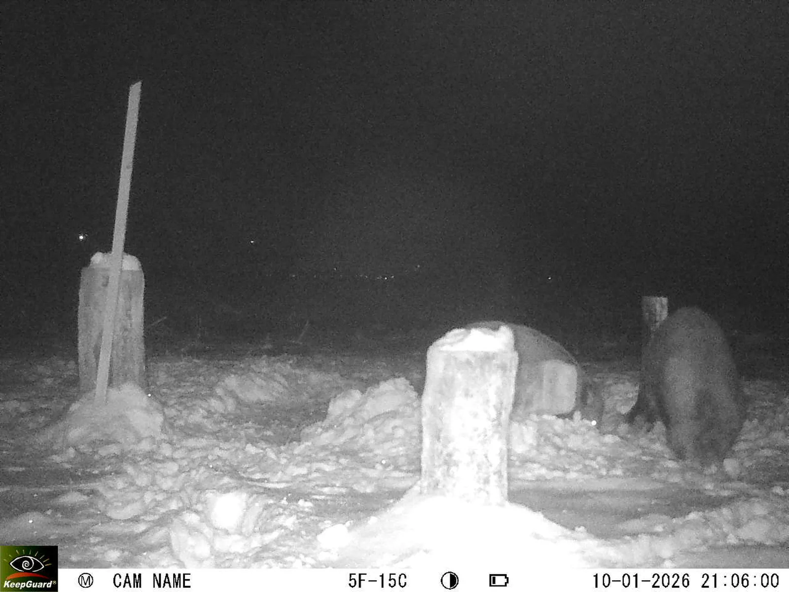 Bild: 1768072087468412695_01100340.webp