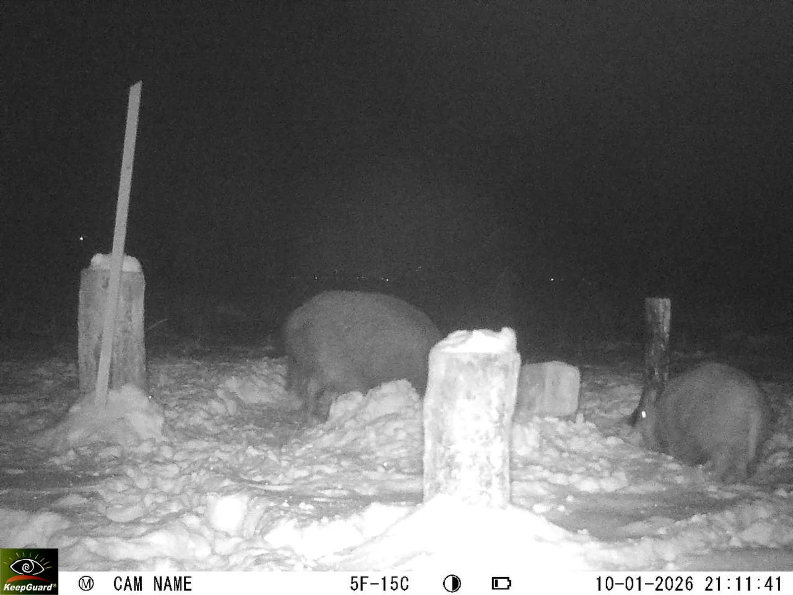 Bild: 1768072427250087745_01100341.webp