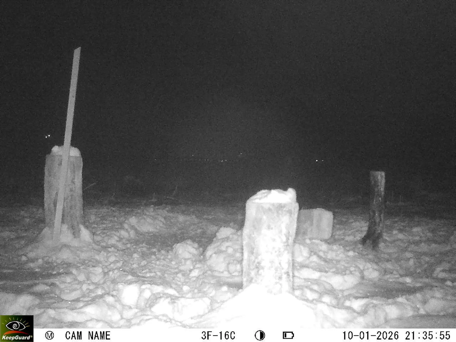 Bild: 1768073881866518783_01100343.webp