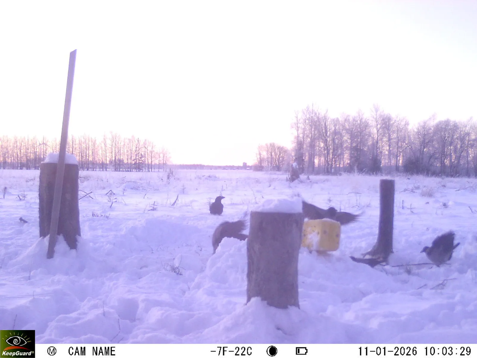 Bild: 1768118739498714981_01110344.webp