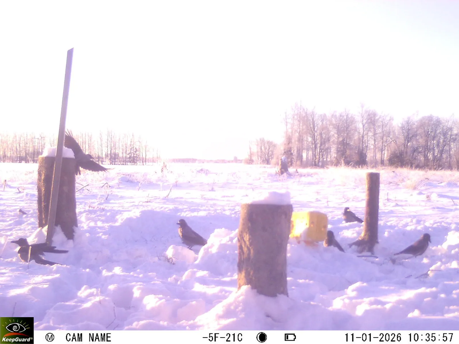 Bild: 1768120686250829047_01110346.webp