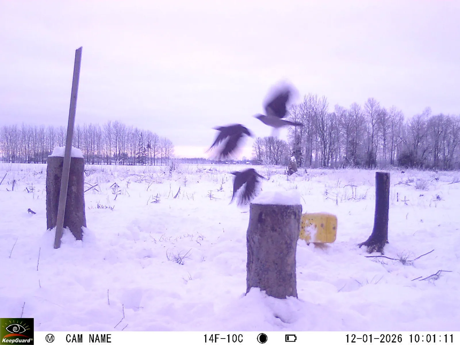 Bild: 1768205012134908892_01120347.webp