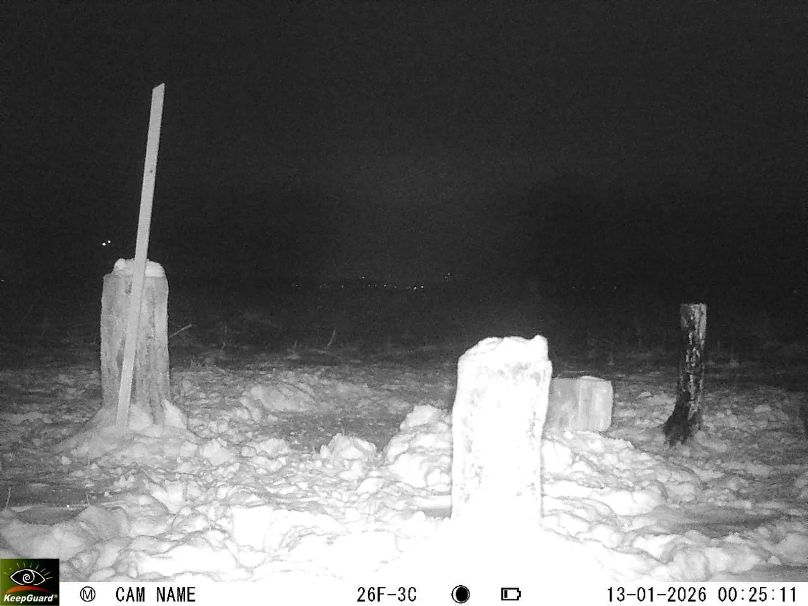 Bild: 1768256846648019619_01130348.webp