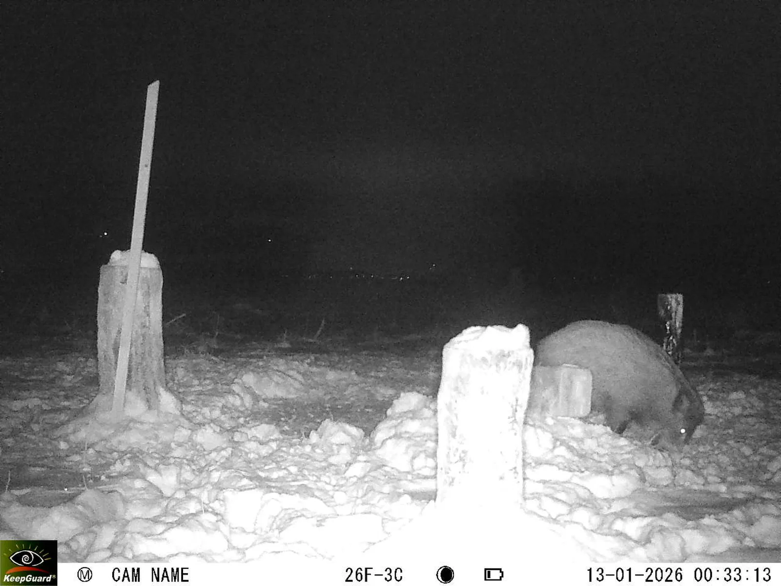 Bild: 1768257330564546966_01130349.webp