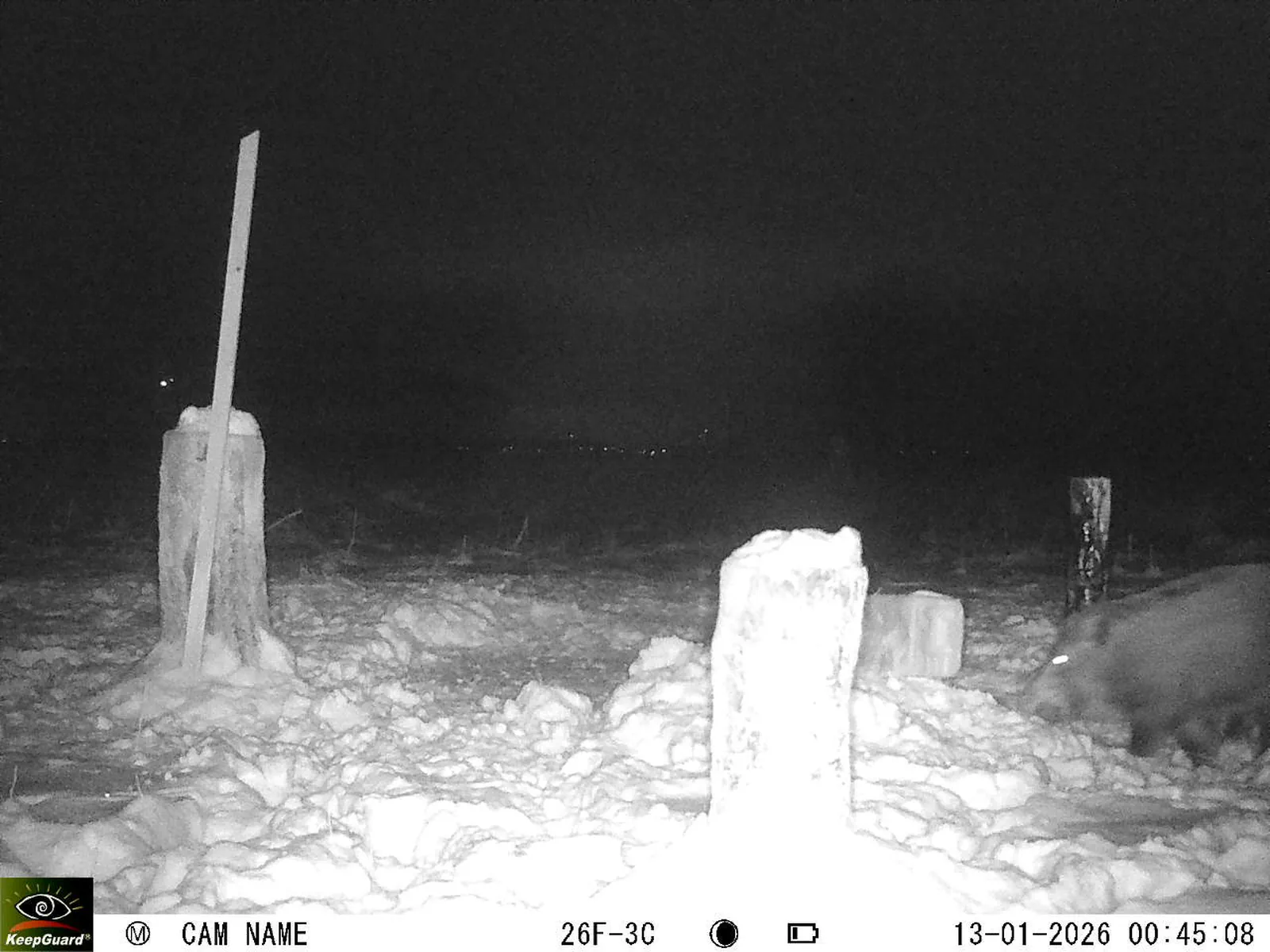 Bild: 1768258041331791768_01130351.webp