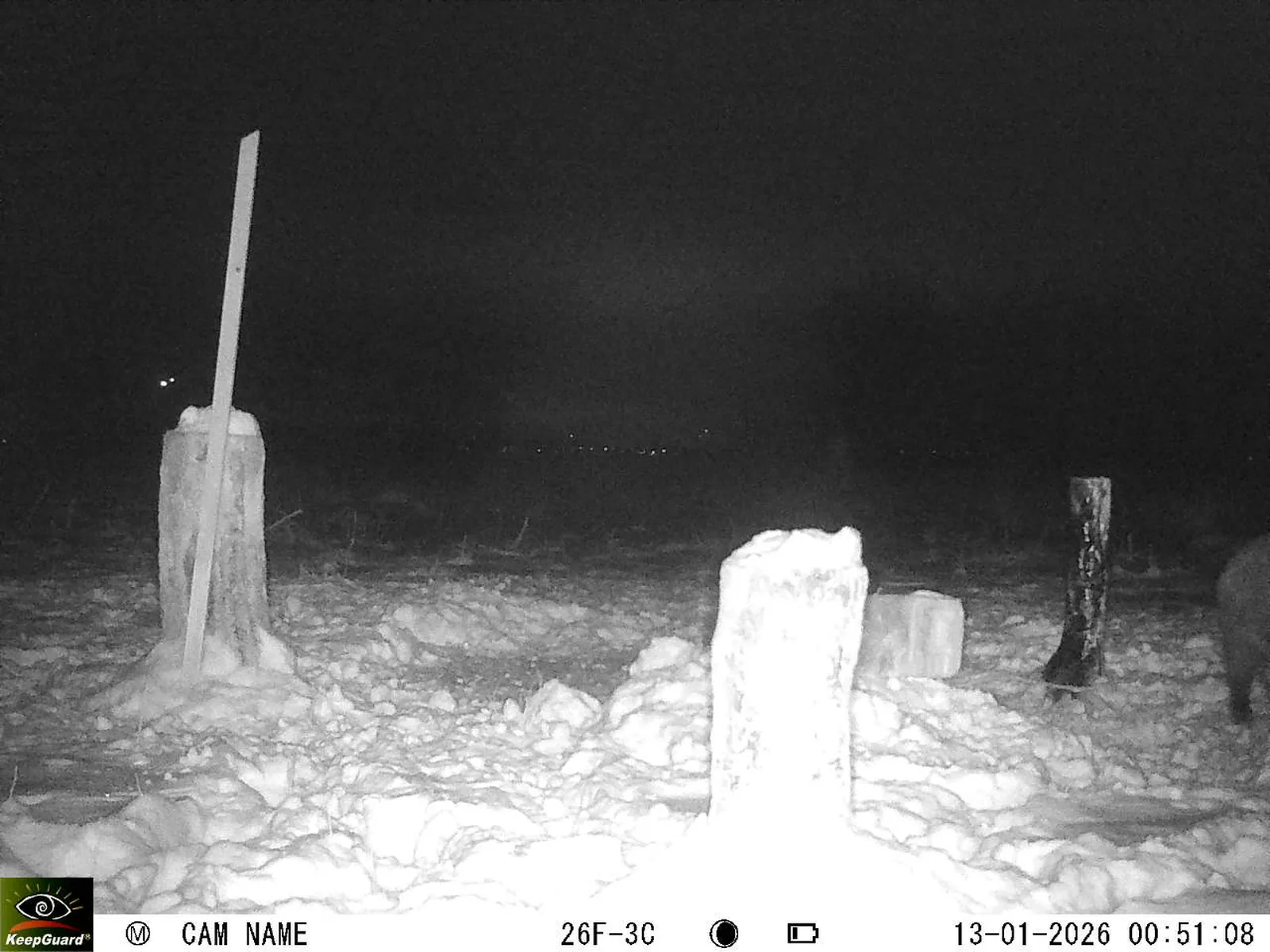 Bild: 1768258402657497004_01130352.webp