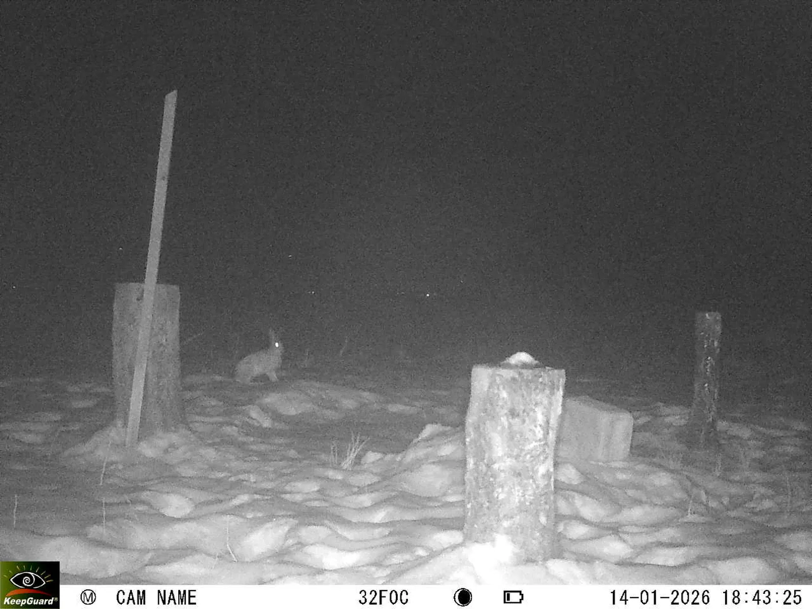 Bild: 1768409143200783898_01140353.webp