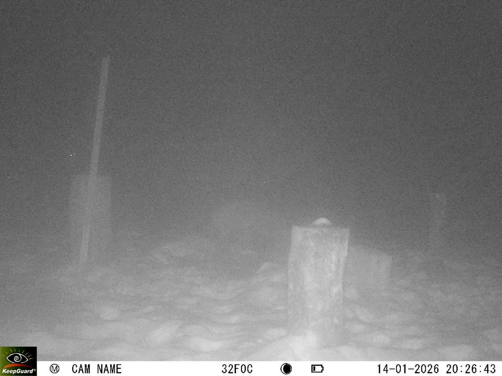 Bild: 1768415341195971872_01140354.webp