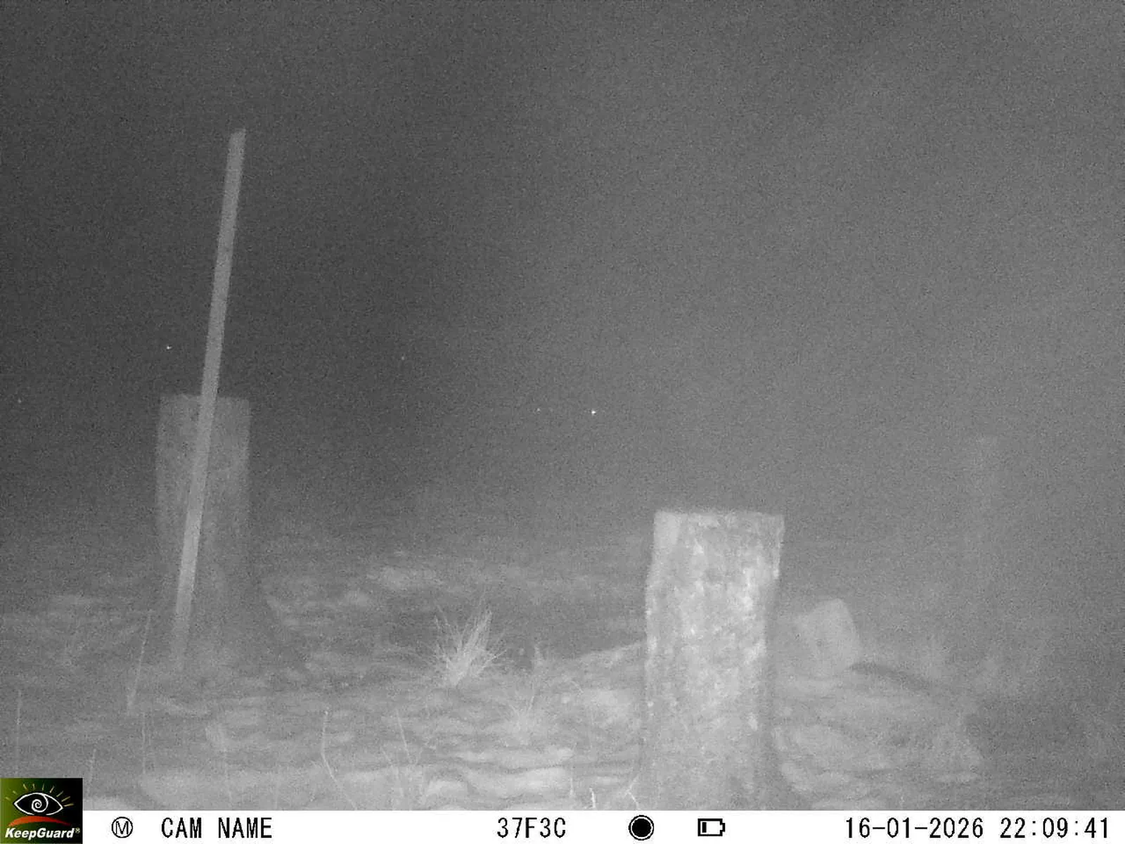 Bild: 1768594327630761764_01160355.webp