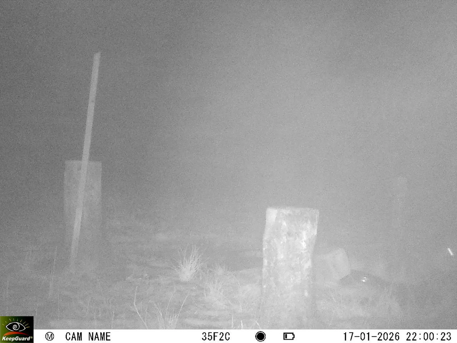 Bild: 1768680165328684801_01170356.webp