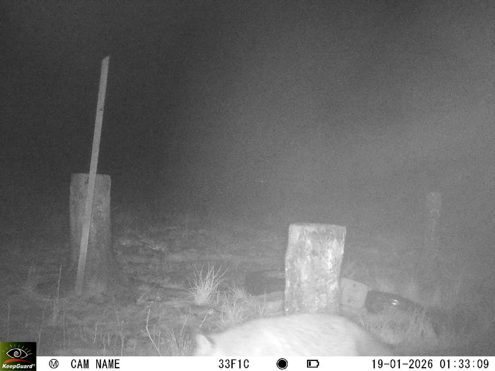 Bild: 1768779333102797958_01190357.webp