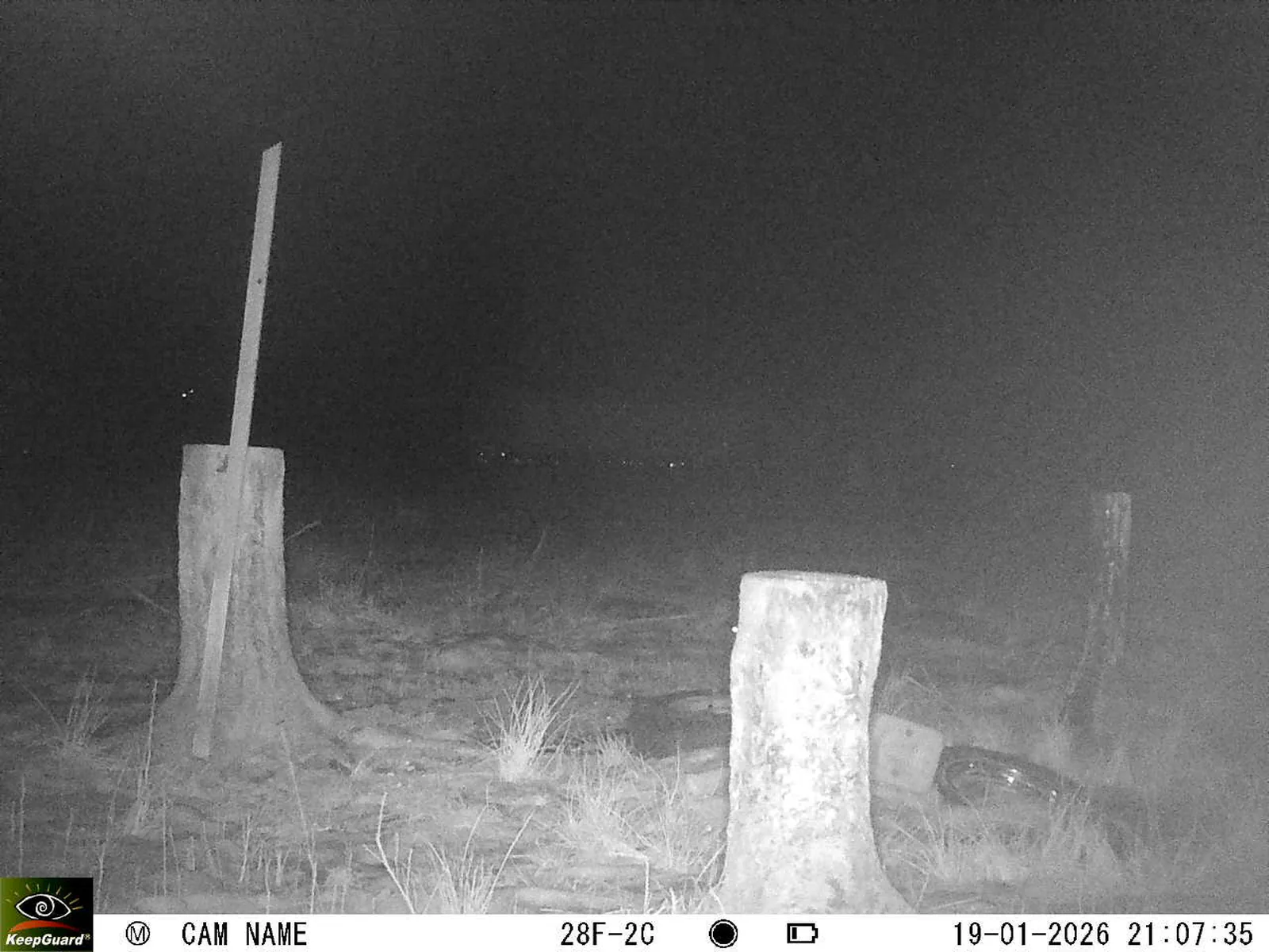 Bild: 1768849799432112198_01190358.webp