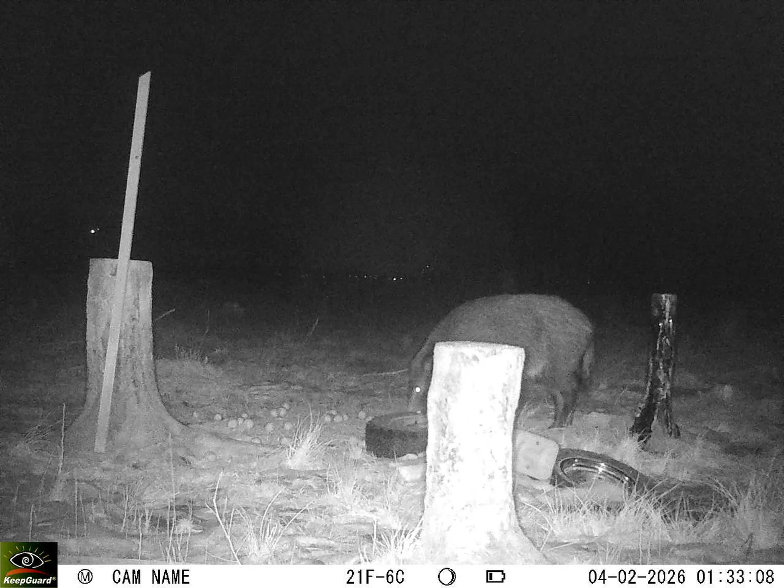 Bild: 1770161761130955764_02040449.webp