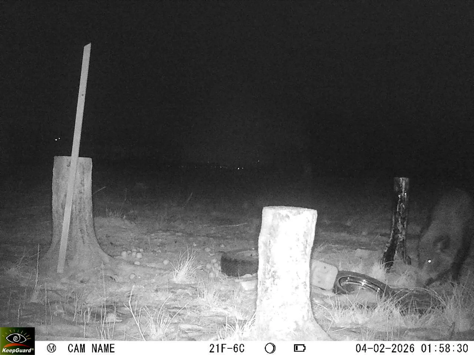 Bild: 1770163281157283912_02040453.webp