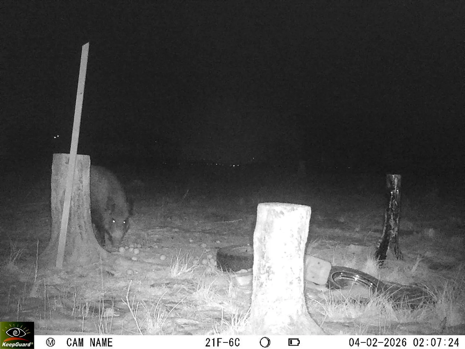 Bild: 1770163820633965469_02040454.webp