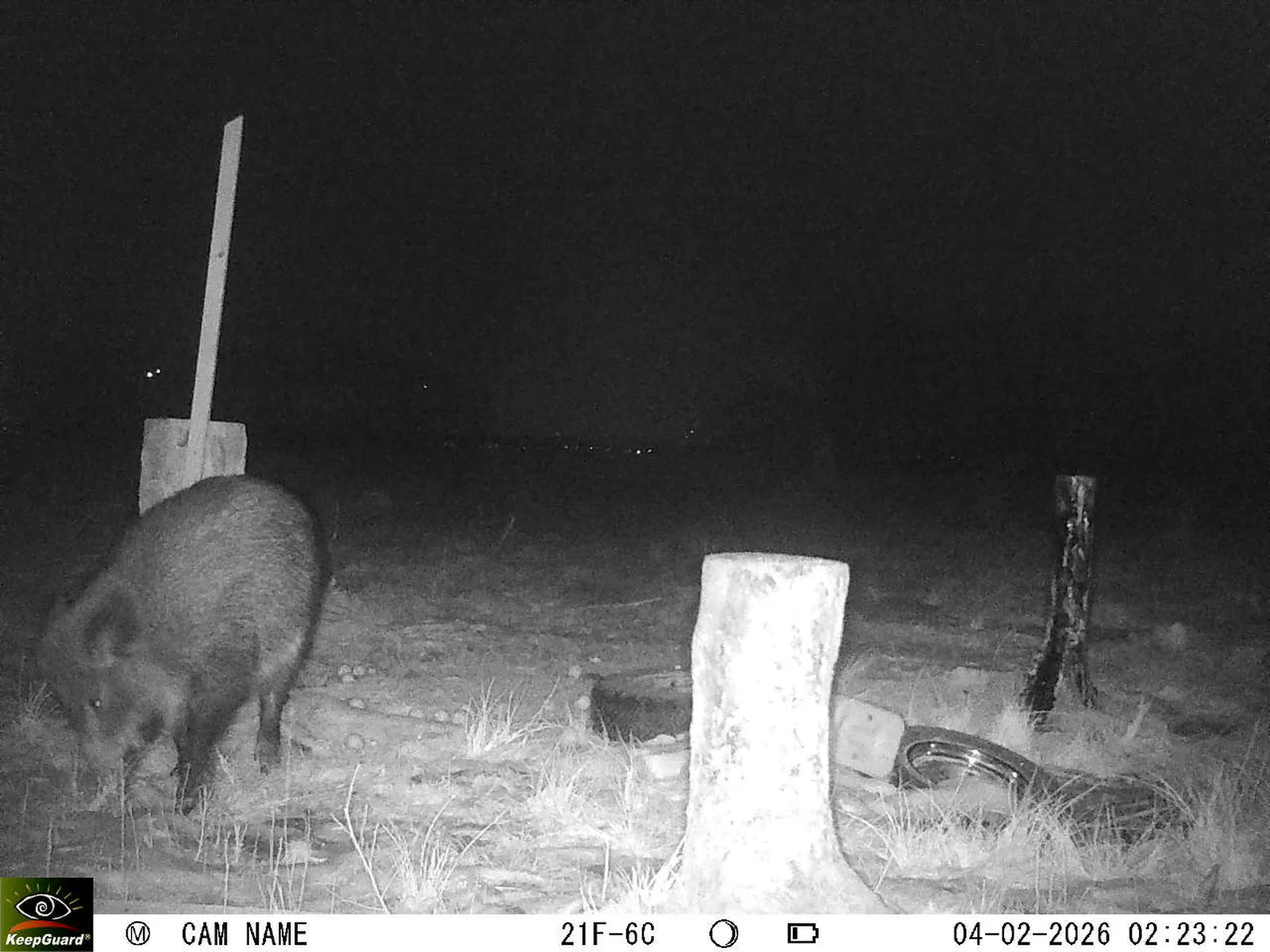 Bild: 1770164774078309437_02040456.webp