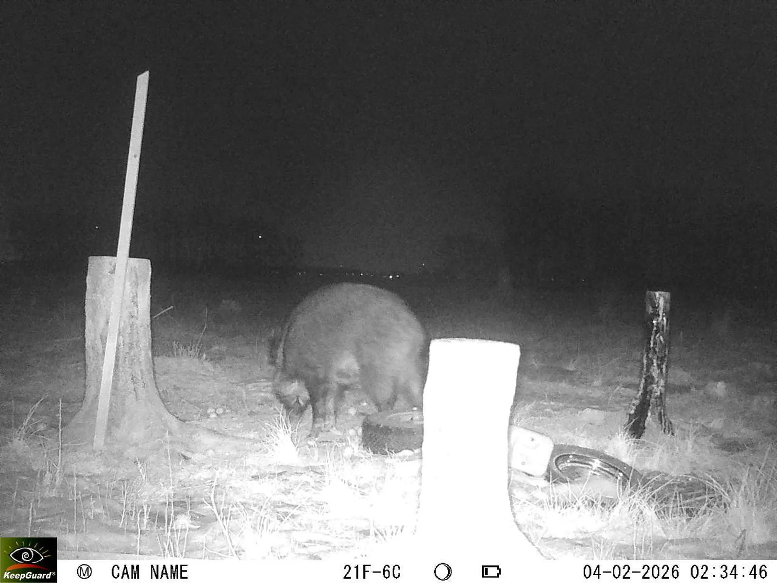 Bild: 1770165457404272079_02040458.webp