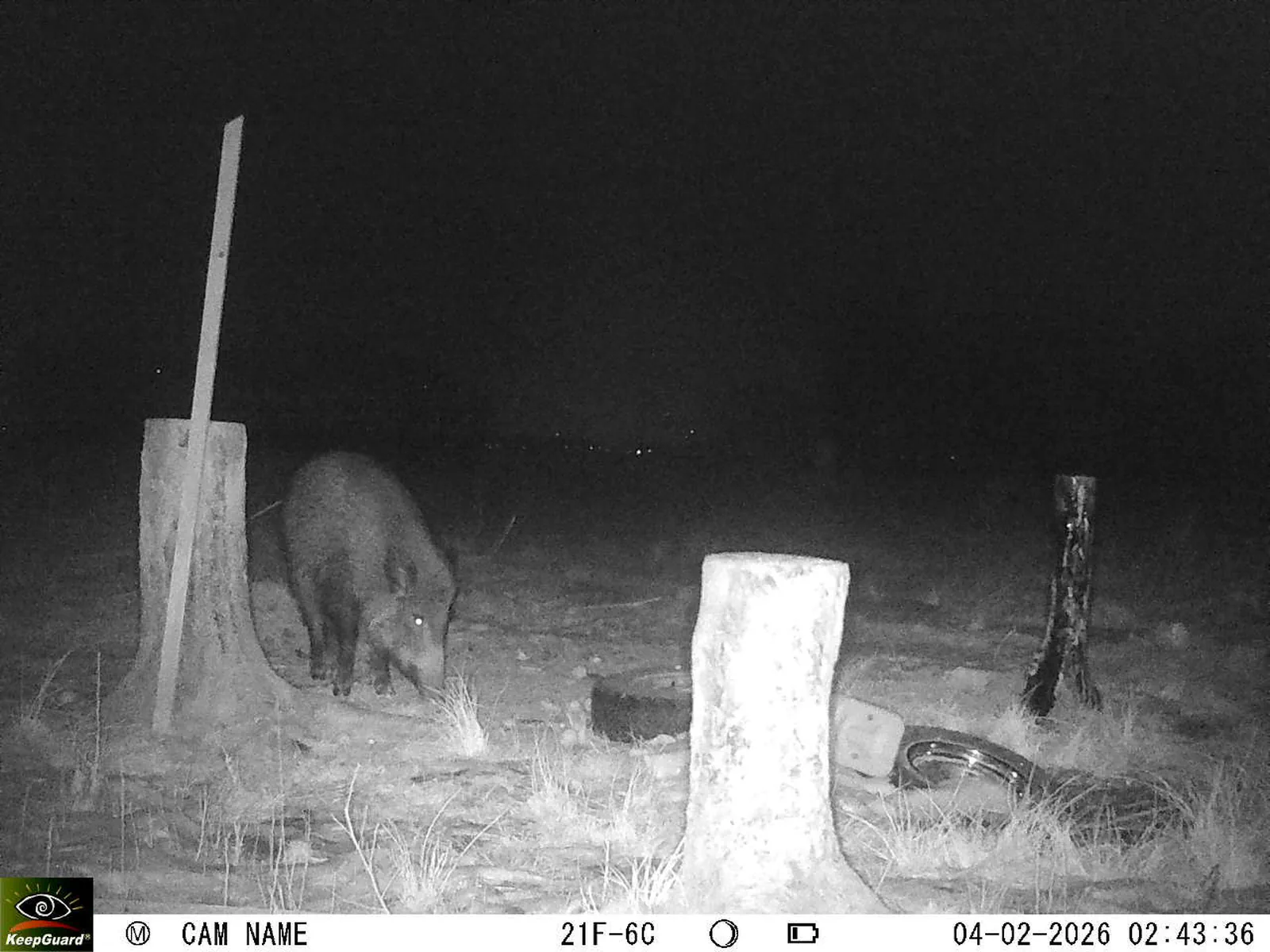 Bild: 1770165987664214545_02040459.webp