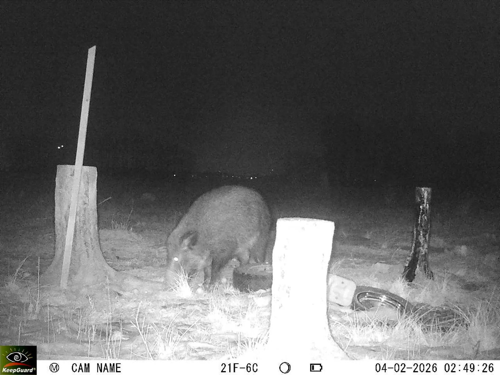 Bild: 1770166337782597124_02040460.webp