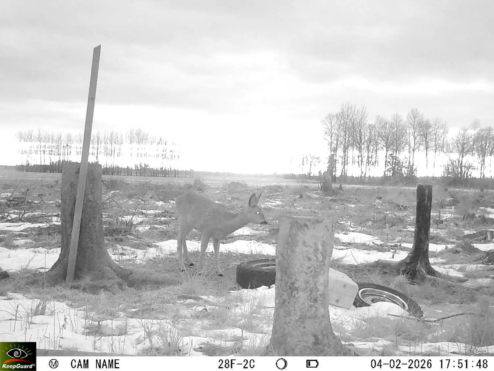 Bild: 1770220487538900314_02040471.webp