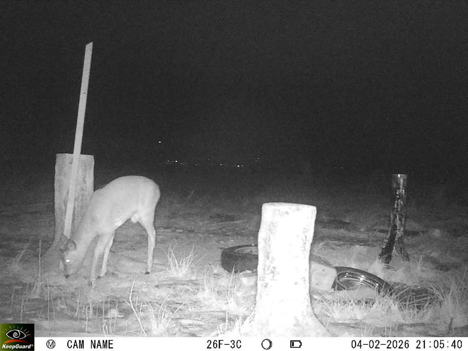 Bild: 1770232113932354676_02040477.webp