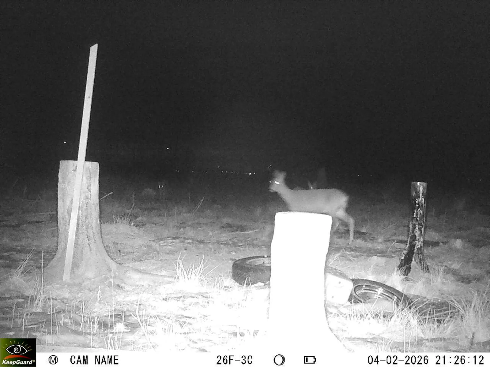 Bild: 1770233347097512113_02040478.webp