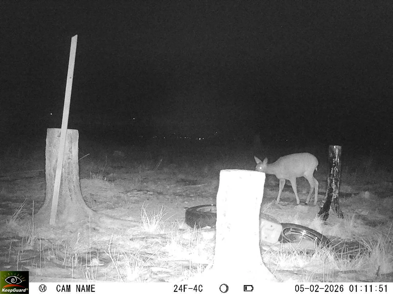 Bild: 1770246886197770567_02050481.webp